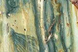 Free-Standing, Gary Green Jasper (Larsonite) Bog Wood - Oregon #334815-1